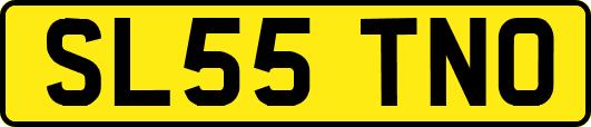 SL55TNO