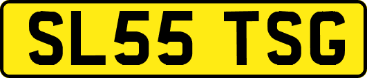 SL55TSG