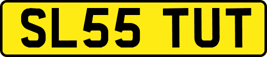 SL55TUT