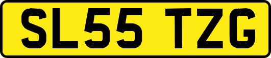 SL55TZG