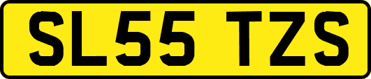 SL55TZS