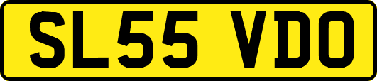 SL55VDO