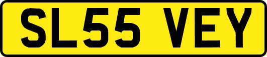 SL55VEY