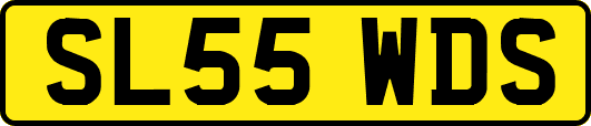 SL55WDS