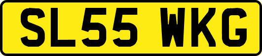 SL55WKG