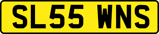 SL55WNS