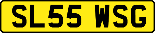SL55WSG
