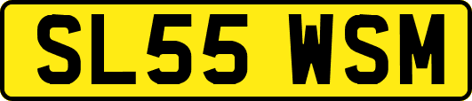SL55WSM