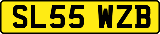 SL55WZB
