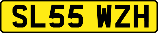 SL55WZH