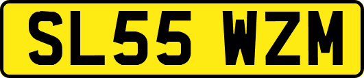 SL55WZM