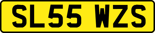 SL55WZS