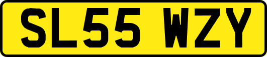 SL55WZY