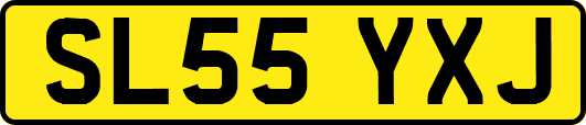 SL55YXJ
