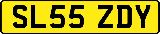 SL55ZDY