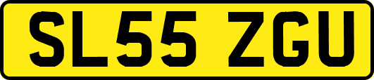 SL55ZGU