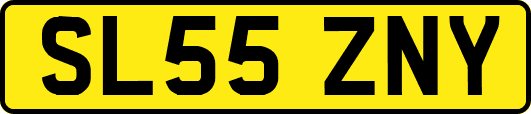 SL55ZNY