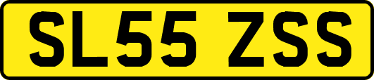 SL55ZSS