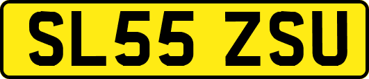 SL55ZSU