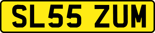 SL55ZUM