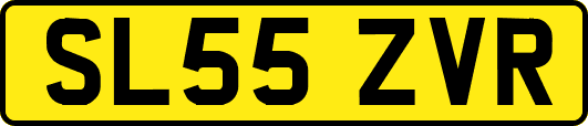 SL55ZVR