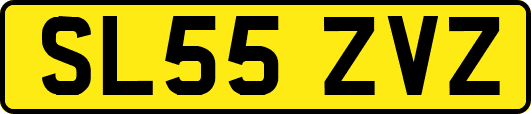 SL55ZVZ