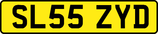 SL55ZYD