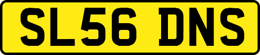 SL56DNS