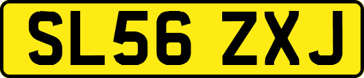 SL56ZXJ