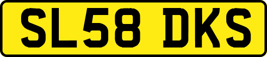SL58DKS