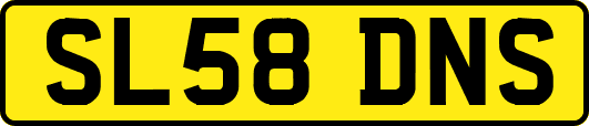 SL58DNS