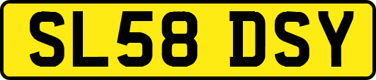 SL58DSY