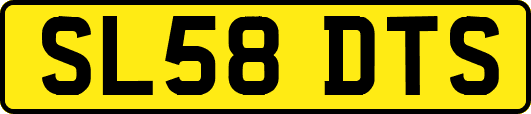 SL58DTS
