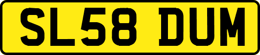 SL58DUM