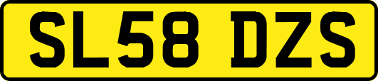 SL58DZS