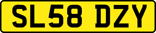 SL58DZY