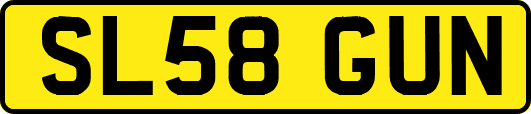 SL58GUN