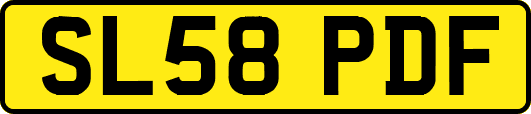 SL58PDF