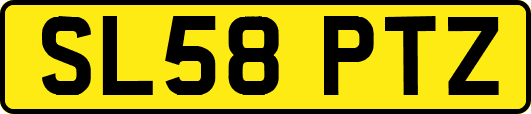 SL58PTZ