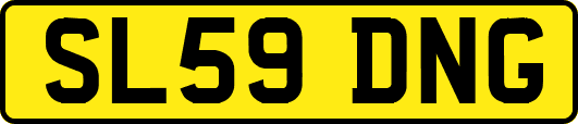 SL59DNG