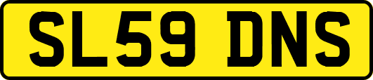 SL59DNS