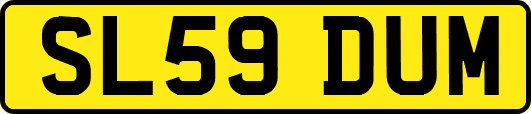 SL59DUM