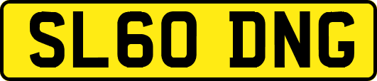 SL60DNG