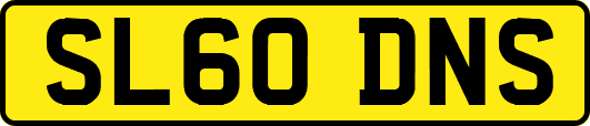 SL60DNS