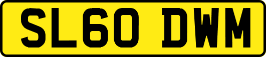 SL60DWM