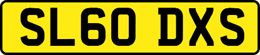 SL60DXS