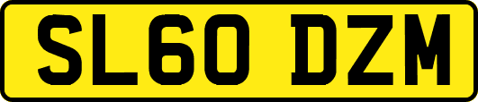 SL60DZM