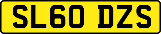 SL60DZS