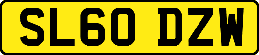 SL60DZW
