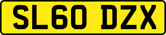 SL60DZX